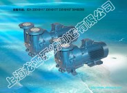 鑄鐵2BV2061真空泵