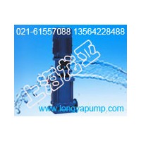 供應(yīng)CDLF20-10備用生活泵