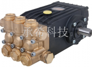 意大利 高壓柱塞泵 進口INTERPUMP英特-WS1630