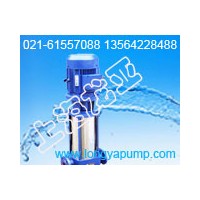 供應(yīng)100GDL100-20×4低壓提壓泵